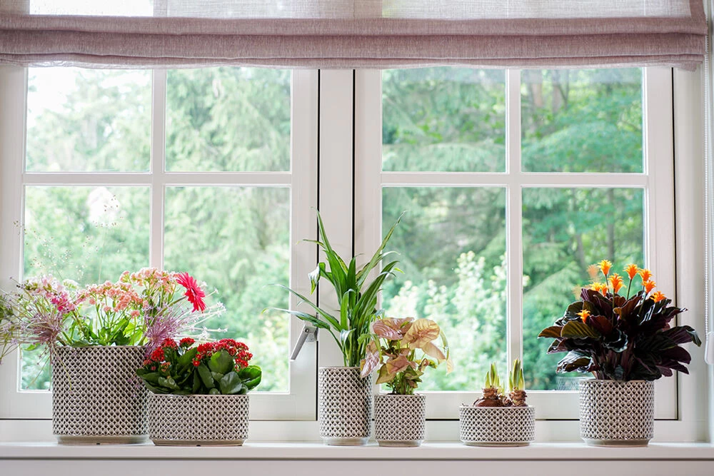 Bloempot Thies - D19 X H17cm - Olijf Groen 5 Bloempot Thies - D19 X H17cm - Olijf Groen - Afbeelding 3