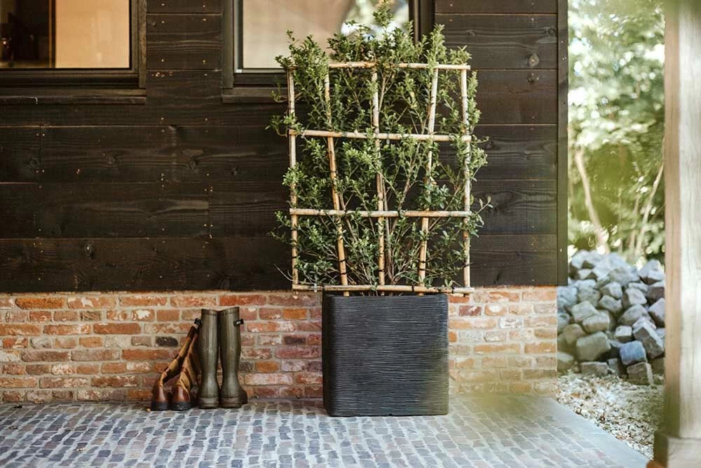 Capi Plantenbak Vierkant Nature Rib NL - L50 X B50 X H50cm - Zwart 5 Capi Plantenbak Vierkant Nature Rib NL - L50 X B50 X H50cm - Zwart - Afbeelding 3