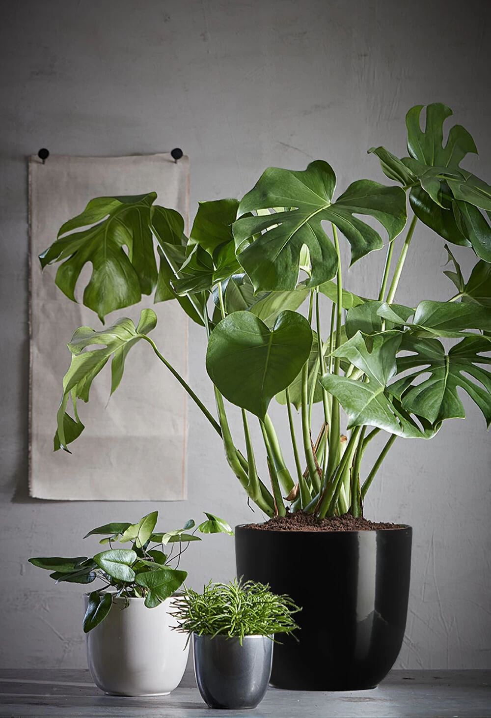 Bloempot Tusca - D31 X H28.5cm - Antraciet 4 Bloempot Tusca - D31 X H28.5cm - Antraciet - Afbeelding 2