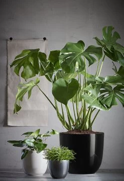 Bloempot Tusca - D35 X H31.5cm - Antraciet -Woondecoratie Kortingen tusca pot rond antraciet h31 5xd35cm bloempot 6 11