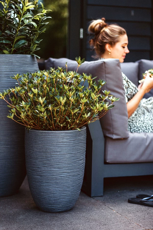 Capi Bloempot Nature Elegant Rib NL - D34 X H46cm - Donkergrijs 4 Capi Bloempot Nature Elegant Rib NL - D34 X H46cm - Donkergrijs - Afbeelding 2
